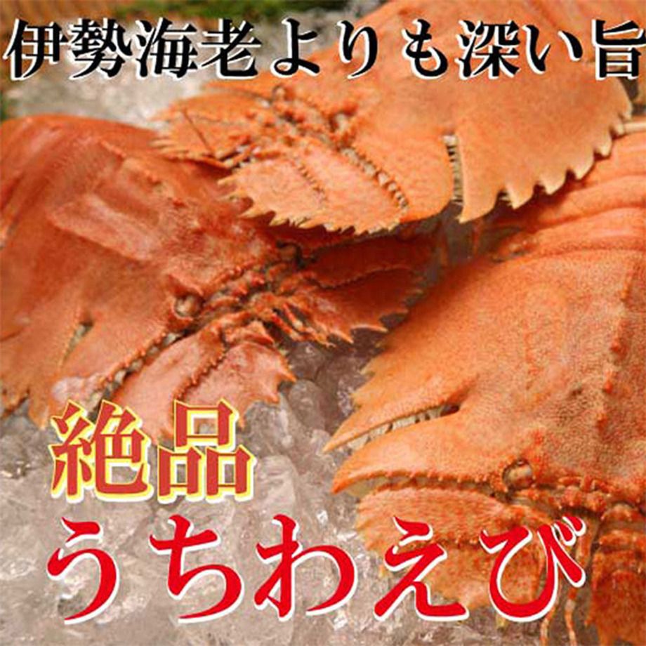 うちわ海老の刺身（1800）