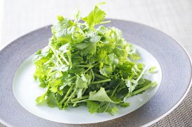 パクチーサラダ