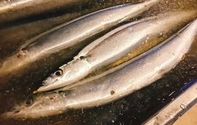 秋刀魚の大葉くるくる巻き焼き