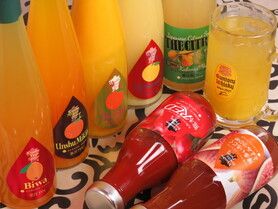 【女性限定価格！！】　こだわり100分飲み放題プラン　※ラストオーダー90分