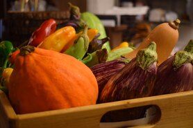 契約農家から直送の新鮮野菜を使用したお料理も