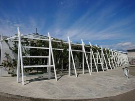 訪問 日本ワイナリー 一覧