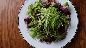 大人のグリーンサラダ