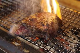 ELEZO社３歳メス蝦夷鹿ウチモモ（塊肉グリル）