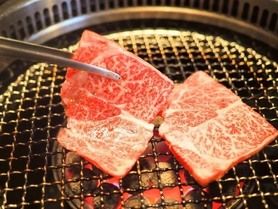 ［ランチ限定]カジュアルコース