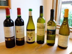 飲んで美味しいことだけを考えたグラスワイン各種