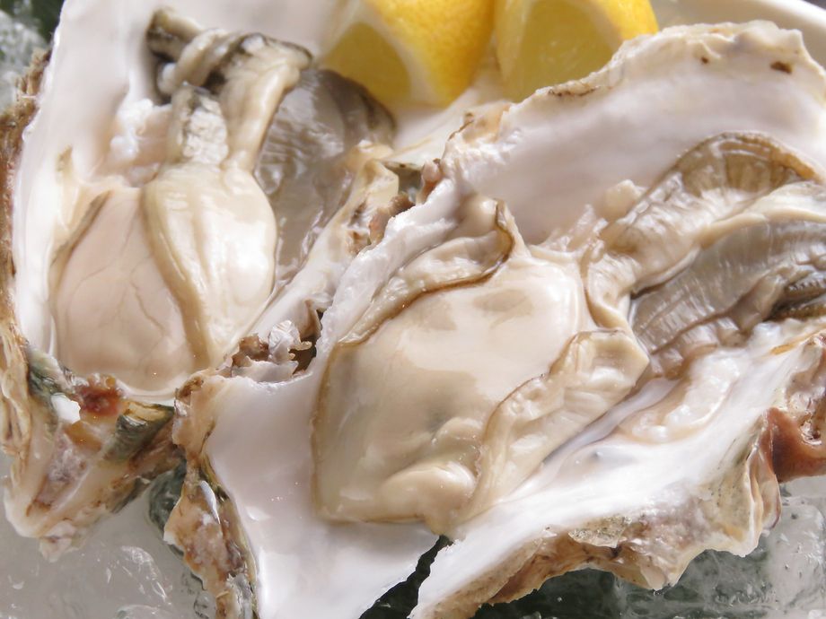 厚岸産生牡蠣(１個)