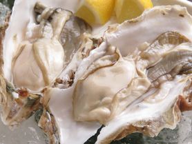 厚岸産生牡蠣(１個)