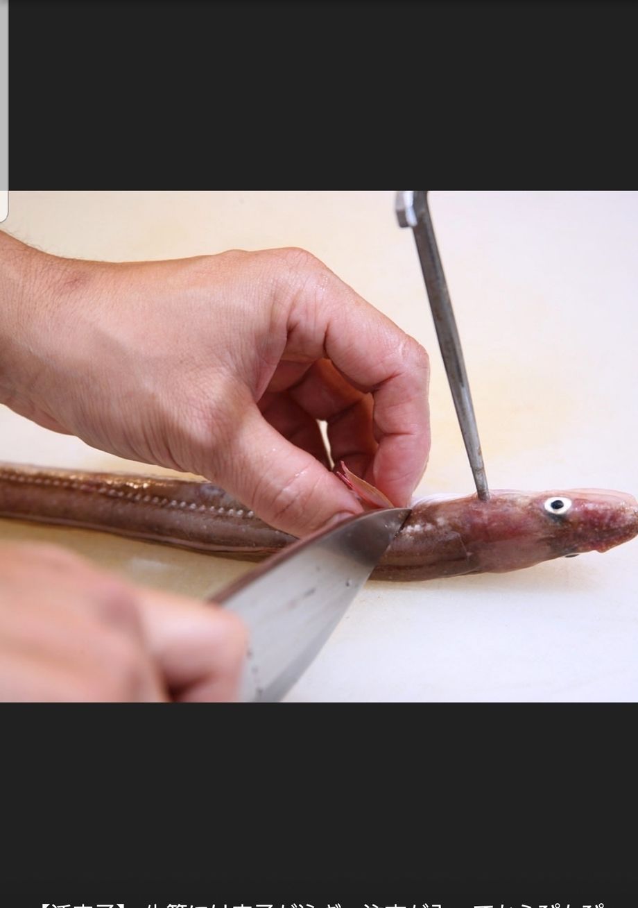 超特価　店長おすすめ！　【泳ぎ穴子】（2500円）