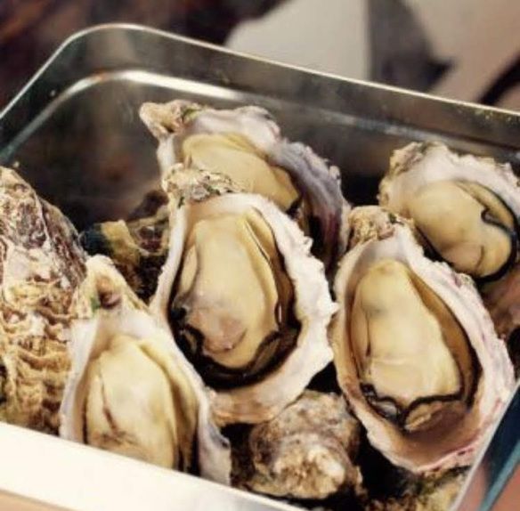 牡蠣のガンガン焼き食べ放題コース