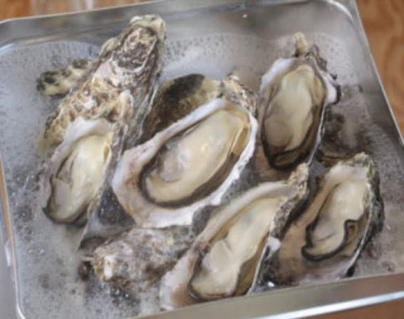 牡蠣のガンガン焼き　５００ｇ（５～７個）
