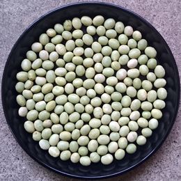 大豆（肴豆）500g