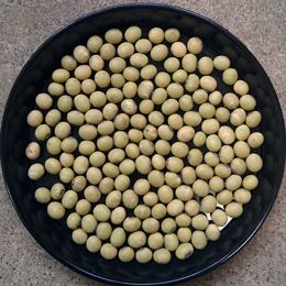 大豆（さといらず）500g（500円（税別））