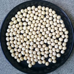 大豆（あやこがね）500g（500円（税別））