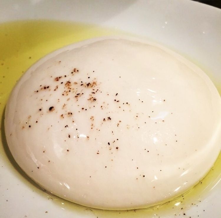 できたて！手作り モッツァレラチーズ	