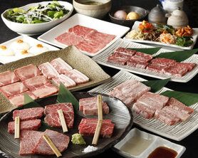 【匠-たくみ-コース】全9品　飲み放題2時間付