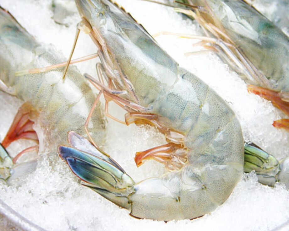 天使の海老　２尾（750円（税抜））