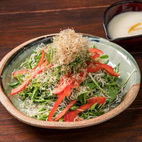 京水菜とシラスのサラダ