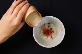 【一日個数限定】熟練シェフの究極コースを上質な空間で。三十品目のお野菜と季節のお魚メインコース 全8品