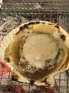 【いろり焼き】帆立/1枚