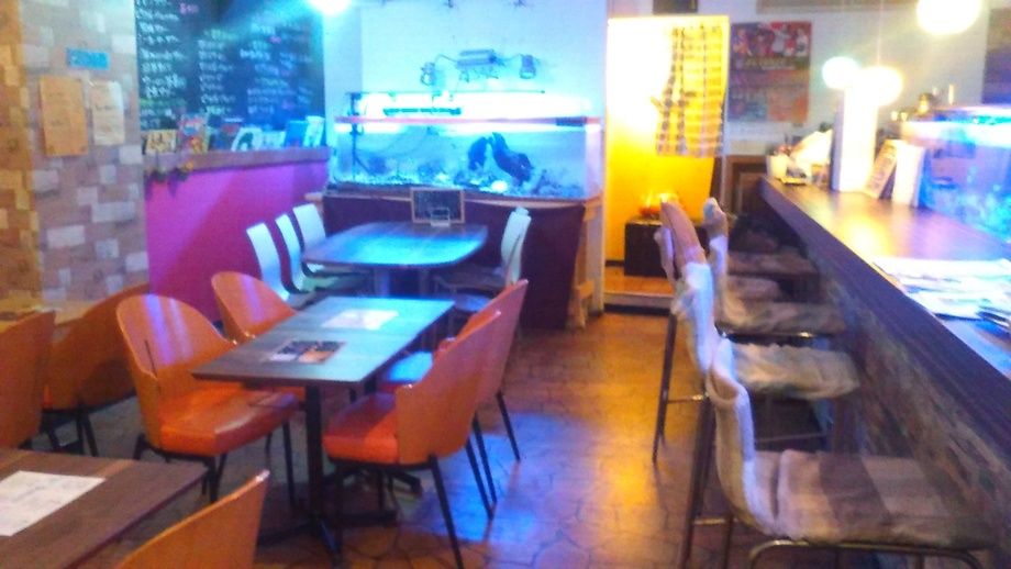 飲み放題付きコース２時間