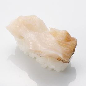 活 つぶ貝 Fresh Whelk Shell 