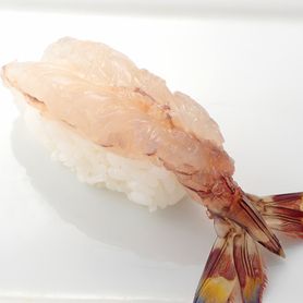 活車海老 Live Prawn 