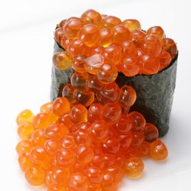 こぼれいくら軍艦 Salmon Roe big size 