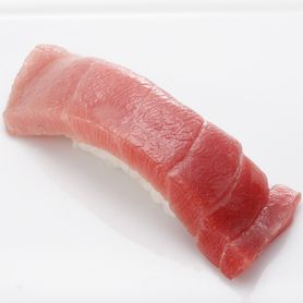 本まぐろ中とろ Fresh Bluefin Fatty Tuna 