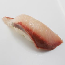 ハマチ Amberjack 