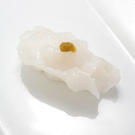 活きたこ Fresh Octopus 