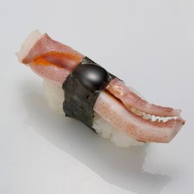 いか足下 Squid Tentacles 