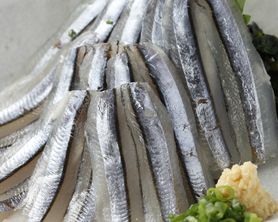 鹿児島産　きびなご刺身