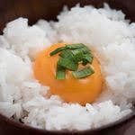 【お食事】卵かけごはん　THE TKG