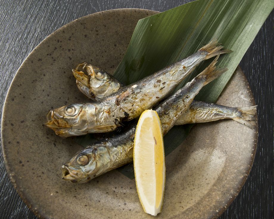 境港産 ハタハタ