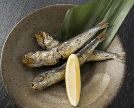 境港産 ハタハタ