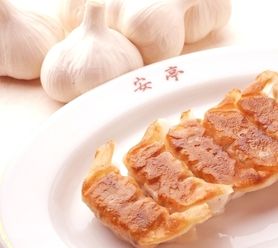 ザ・にんにく餃子