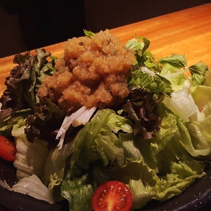 コトブキヤサラダ（480円）