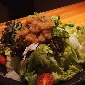 コトブキヤサラダ