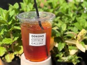 オーガニックティー HOT/ICE