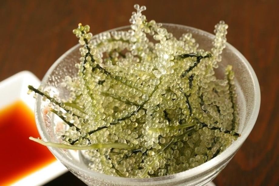 かりゆしコース