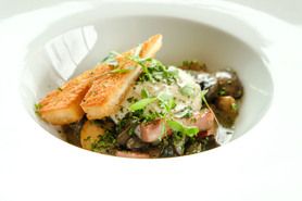 フランス産 エスカルゴとマッシュルームのフリカッセ エスカルゴとマッシュルームのフリカッセ エスカルゴとマッシュルームのフリカッセ パセリ風味のクレーム、クルトン、ポーチ・ド・エッグ共に 