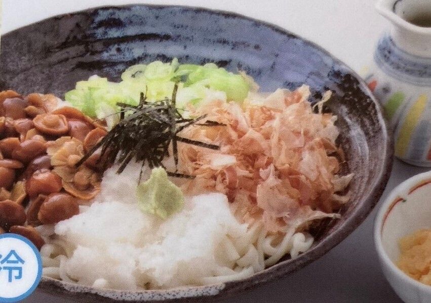 たっぷりおろしうどん（1000（税込1100））