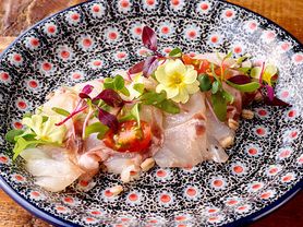 【前菜】本日鮮魚のカルパッチョ