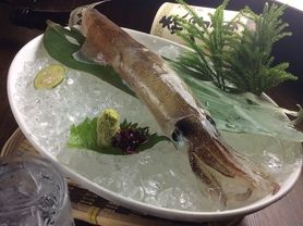 活泳ぎいか姿造り