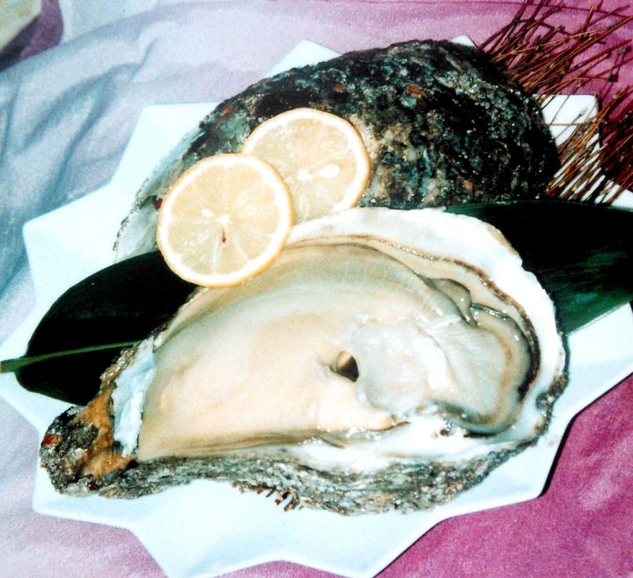 三陸生牡蠣　（ 雄勝湾直送カキ ） 生カキ・殻焼きカキ・大粒フライ仕立て　お好みに調理いたします（1個　税抜400円）