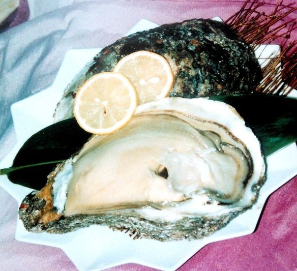 三陸生牡蠣　（ 雄勝湾直送カキ ） 生カキ・殻焼きカキ・大粒フライ仕立て　お好みに調理いたします