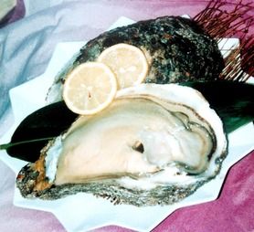 三陸生牡蠣　（ 雄勝湾直送カキ ） 生カキ・殻焼きカキ・大粒フライ仕立て　お好みに調理いたします