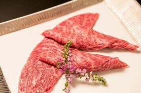 【12,000円コース／全13品の黒毛和牛メス牛のタンの食べ比べやヒレ、厳選部位の盛合せなど】