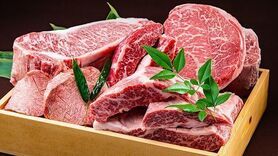 【20,000円コース／全13品、黒毛和牛メス牛のヒレ肉を全皿に使用した特選ヒレ肉コース】※2日前要予約